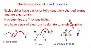 Nucleophiles and Electrophiles [upl. by Baugh]