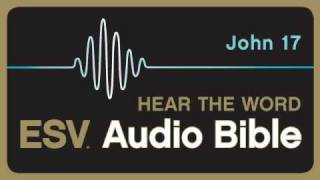 ESV Audio Bible Gospel of John Chapter 17 [upl. by Toscano]