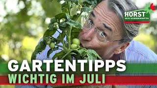 Tomaten pflegen Feldsalat säen der richtige Standort für Lilien  Horst sein Schrebergarten [upl. by Scales]