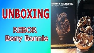 UNBOXING  REBOR Bony Bonnie amp Favorite Collection quotDilophosaurus jagt Yunnanosaurusquot [upl. by Acnaib]