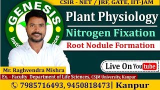 Nitrogen Fixation  Plant Physiology CSIR NETJRF  GATE  Life science  ICMR IITJAM [upl. by Hui864]