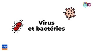 Virus et bactéries [upl. by Cirda]