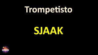 Sjaak  Trompetisto Lyrics version [upl. by Oirramed682]