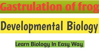 Gastrulation of frog  Developmental Biology zoology biology [upl. by Franciskus]