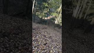 kx450 hillclimb dirtbike  failed [upl. by Elehcor288]