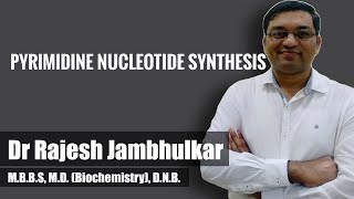 Pyrimidine nucleotide synthesis and degradation [upl. by Combes]