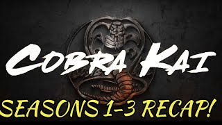 Cobra Kai Seasons 13 Recap [upl. by Caldera125]