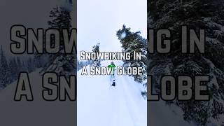 Snow Globe Shredding [upl. by Rudolfo]