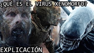 ¿Qué es el Virus Xenomorfo EXPLICACIÓN  El Virus Negro o Black Goo del Universo de Alien EXPLICADO [upl. by Bazil]