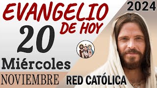 Evangelio de Hoy Miercoles 20 de Noviembre de 2024  REFLEXIÓN  Red Catolica [upl. by Einamrej]