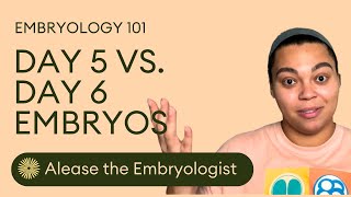 Embryo Grades and Success Rates  Day 5 vs Day 6 Embryos  Dandi Fertility [upl. by Weidar]