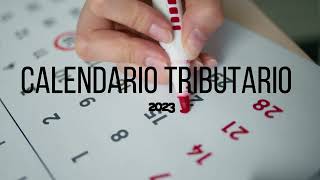 Calendario Tributario 2023 [upl. by Eirellam]