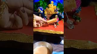 ladoo Gopal 🥰 youtubeshorts laddu [upl. by Arda]