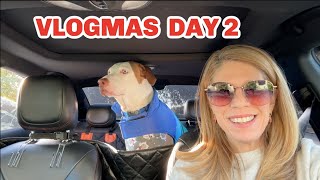 Vlogmas day 2  Buddy Goes to Schoo  Marlow Pillows  Advent Calendars  Life With Favor [upl. by Hobart337]