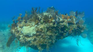 Diving Jibacoa Cuba Feb 2019 1440p 60fps [upl. by Ettenad]