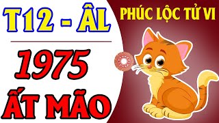 Tử Vi Tuổi Mão 1975 Tháng 12 Âm Lịch Năm 2024 Giáp Thìn [upl. by Eicats]