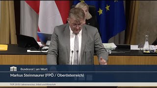 Markus Steinmaurer  EU Vorhaben 2023 Wirtschaftsministerium  1442023 [upl. by Apps]