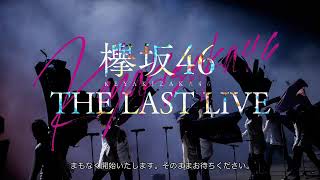 Keyakizaka46 The Last Live Concert – DAY 2 20201013 [upl. by Charie]