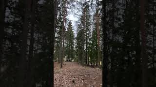 Taas kisois vihdoinki alle paarin frisbeegolf discgolf pdga [upl. by Radie]