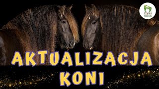 AKTUALIZACJA KONI  Stajenne imiona 🐴 [upl. by Hestia]