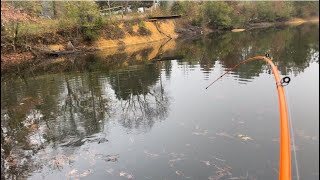 Gravel Pit Bass Fishing [upl. by Dorolice]