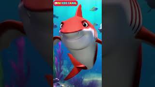 Bebê Tubarão  Baby Shark  Música Infantil  LooLoo Kids  Mini Kids Canal  Desenho Animado xuxa [upl. by Huber185]