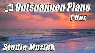 PIANO Instrumentale 1 uur Klassieke Muziek voor Studeren Afspeellijst Mooie Ontspannende Sudie lied [upl. by Hotchkiss]