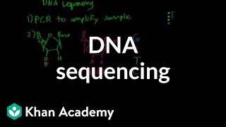 DNA sequencing  Biomolecules  MCAT  Khan Academy [upl. by Eedrahc]