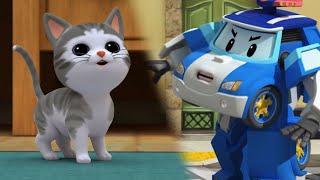 Jai un Chat│Classe de Sécurité Robocar POLI│Dessin Animé pour Bébé│Robocar POLI télé [upl. by Cathe]