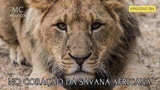 MUNDO SELVAGEM  NO CORAÇÃO DA SAVANA AFRICANA [upl. by Hares]