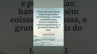 Mesmo que o cenário diga que é o fim ainda tem vida aí deus [upl. by Solrac]