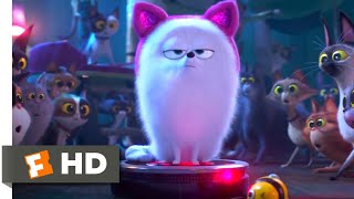 The Secret Life of Pets 2  Dog vs Cats Scene 510  Movieclips [upl. by Akenn]