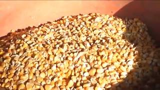 Cattle Feed Making Mchine by Shriram Industries [upl. by Anica]