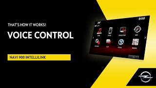 Navi 900 IntelliLink  Voice Control  Thats How It Works [upl. by Aihsak]