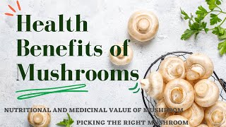 Health Benefits of Mushrooms  Nutritional amp Medicinal Value of Mushrooms  YouTube Informer [upl. by Morey]