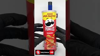 Pringles Under Microscope apt rose brunomars [upl. by Laureen489]