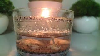 Ye Diwali hai DIY waaliKuch special toh bnta hai with Gel candle jo ki affordable bhi hai amp wow bhi [upl. by Ayerf60]