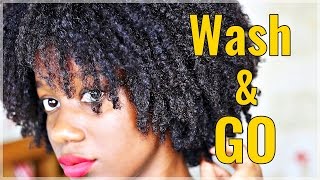 BEST WASH AND GO Technique  No Shrinkage No Frizz  Natural Hair [upl. by Farand]