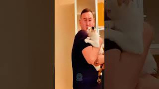 Funniest pets 2 PetsHub funnypets [upl. by Yenial]