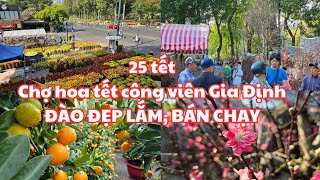 25 tết chợ hoa tết công viên Gia Định 2024 Đào ĐẸP LẮM giá từ 500k BÁN CHẠY  Tắc Hội An vàng rực [upl. by Ihc]