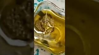 super fast effective hair growth oil for all types of hair🌵 beauty haircare ytshortsvideo2023 [upl. by Noedig611]