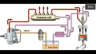 Working of Common Rail Fuel Injection System [upl. by Aneele857]