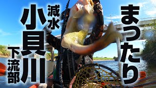 まったりと秋の減水小貝川の下流域を下る【バス釣りカヤック】 [upl. by Armmat]