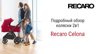 Recaro Celona 2 в 1 – коляска с которой вы можете смело отправляться куда угодно в парк за город [upl. by Watkin]