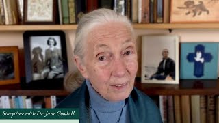 Me Jane read by Dr Jane Goodall [upl. by Amador940]