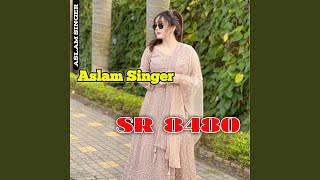 Aslam Singer SR 8480 [upl. by Atalaya82]