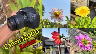 Canon 1200D Review 2023  Canon 1200D Review Hindi  Canon 1200D VideosPhotosZoom Test [upl. by Amles342]