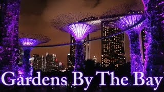 The Cloud Forest at Gardens By The Bay [upl. by Ainitsirk814]