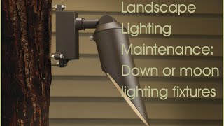 Landscape Lighting Maintenance Down Lighting Fixture [upl. by Delsman445]