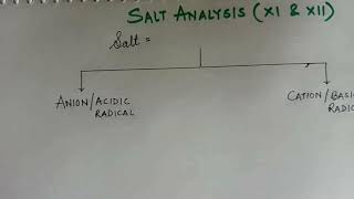 SALT ANALYSIS PART  1 HOW TO PROCEED FOR SALT ANALYSIS ANIONACIDIC RADICAL [upl. by Weil]